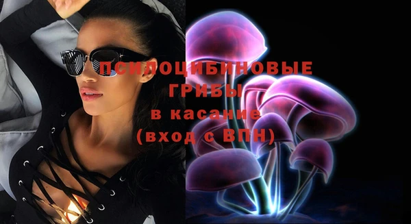 МДПВ Осинники