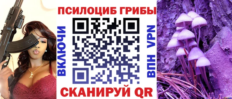 магазин продажи   Ростов-на-Дону  Псилоцибиновые грибы Cubensis 