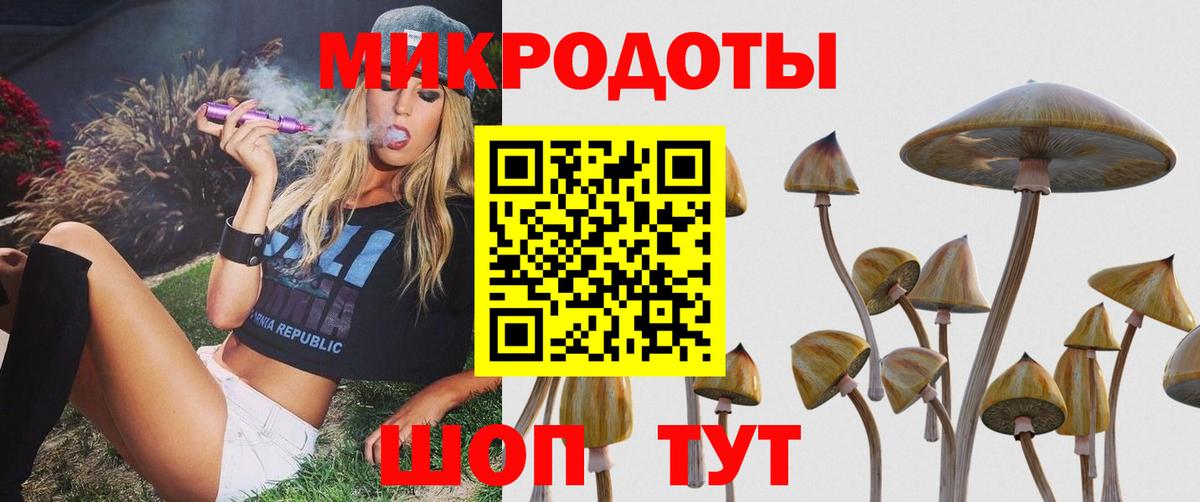 Ростов-на-Дону  Галлюциногенные грибы Cubensis  Вход с VPN 
